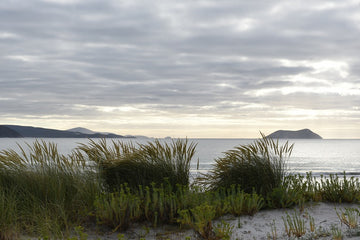 Albany Ocean Sunrise
