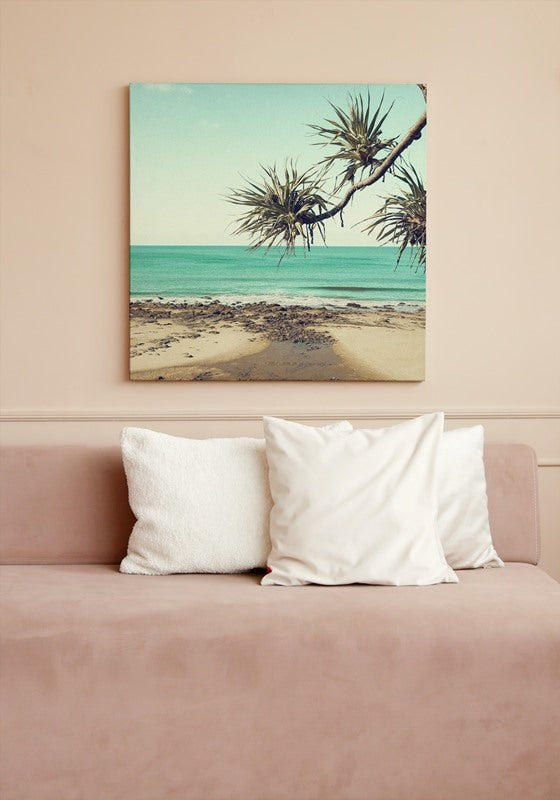 Alexandra Headlands, Sunshine Coast