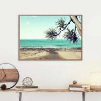 Alexandra Headlands, Sunshine Coast