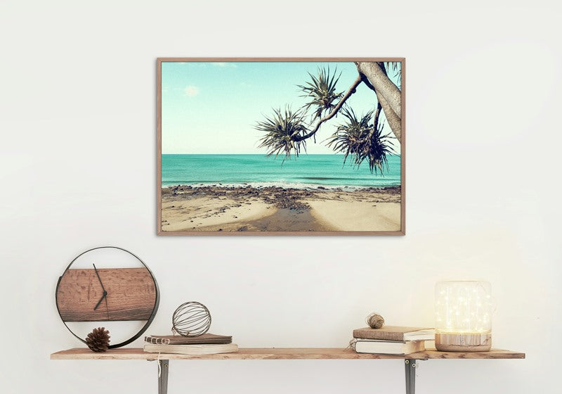 Alexandra Headlands, Sunshine Coast