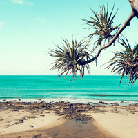 Alexandra Headlands, Sunshine Coast