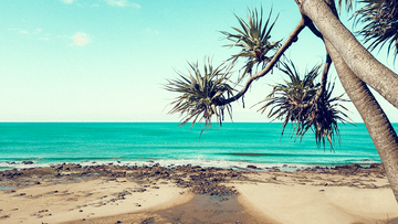 Alexandra Headlands, Sunshine Coast