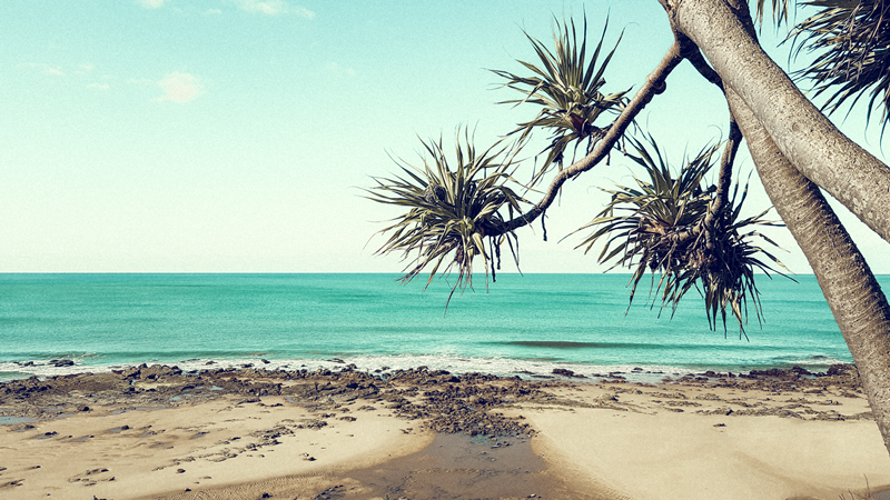 Alexandra Headlands, Sunshine Coast