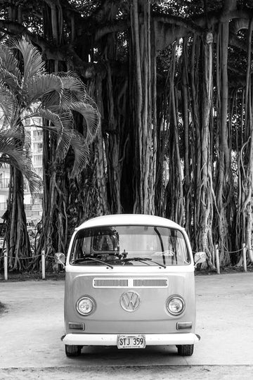 Aloha Kombi 1