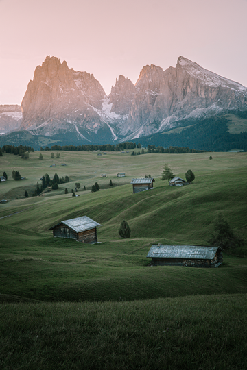 Alpine Meadow
