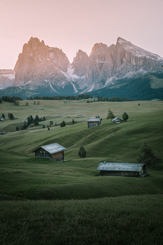 Alpine Meadow