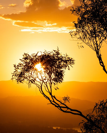 Arid Evening