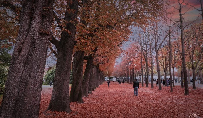 Autumn In Paris