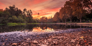 Autumn in Hyde Park
