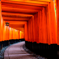 A walk through the Torii gates in the Kinki Region, Japan