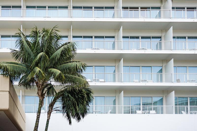 Beverly Palms