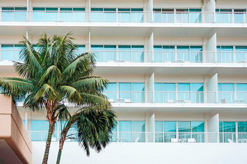 Beverly Palms