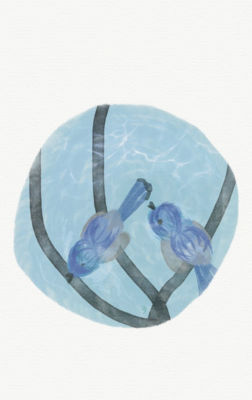 Baby Bluebirds Blue Water