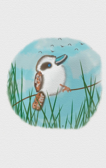 Baby Kookaburra