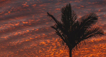 Backyard Sunset 2