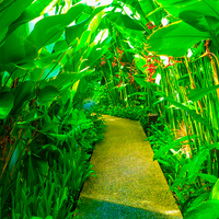 Bali Gardens