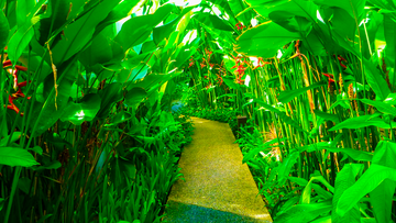 Bali Gardens
