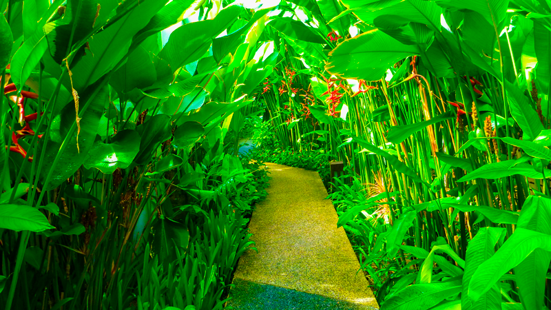 Bali Gardens