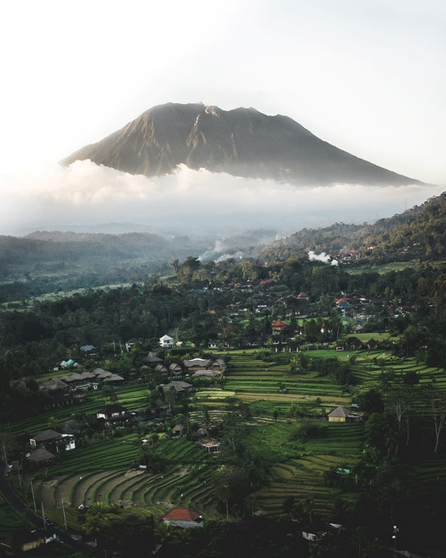 Bali Views