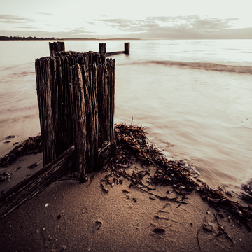 Balnarring Groyne
