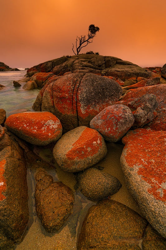 Bay of Fires