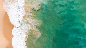 Beach Waves 1