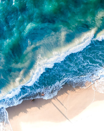 Beach Life