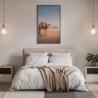Camel & Giza Pyramids in Egypt