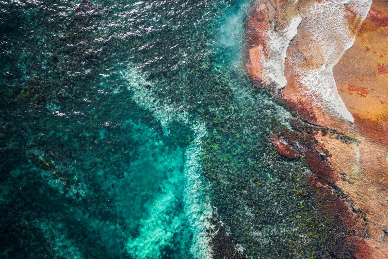 Bilgola Point