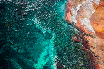 Bilgola Point