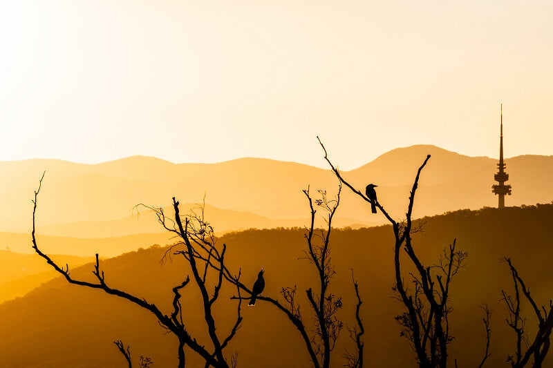 Black Mountain Sunset