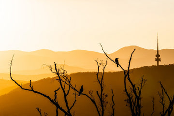 Black Mountain Sunset