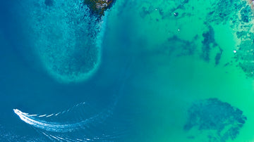 Blue Cove