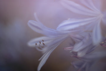 Blue Moments