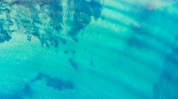 Blue Reef 1