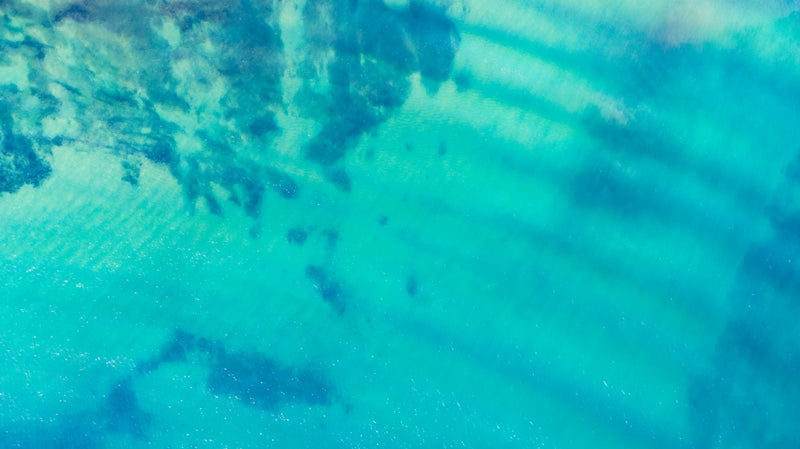 Blue Reef 1