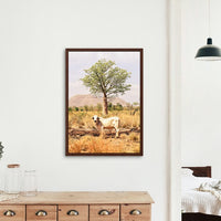 Boab and the Brahman