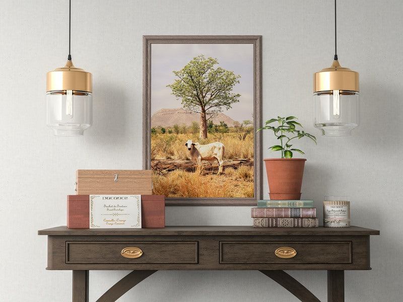 Boab and the Brahman