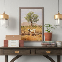 Boab and the Brahman