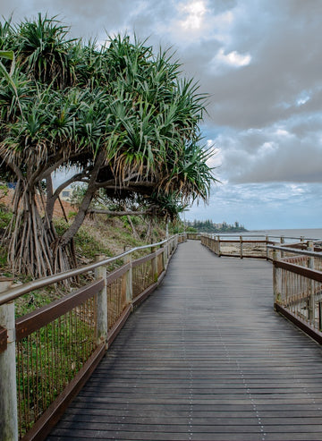 Boardwalk
