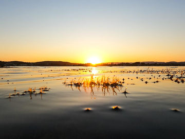 Bolton Point Sunset