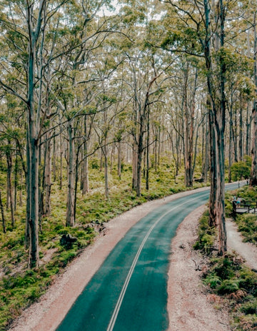 Boranup Forest