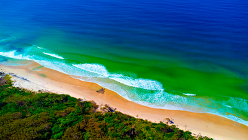 Bribie Island Beach, Sunshine Coast