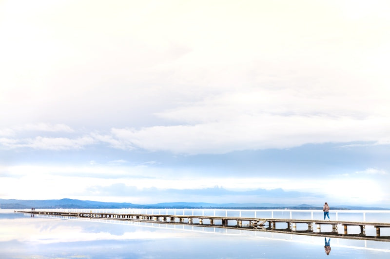 Bridge to the Clouds