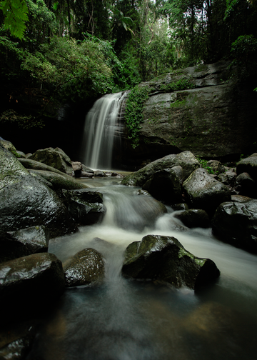 Buderim Falls