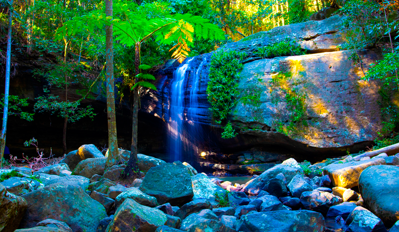 Buderim Falls, Sunshine Coast