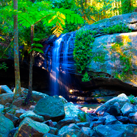 Buderim Falls, Sunshine Coast