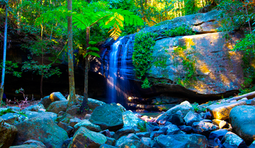 Buderim Falls, Sunshine Coast