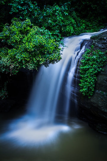 Buderim Falls 4