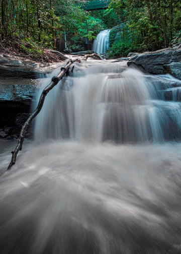 Buderim Falls Bridge